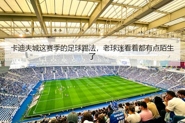 卡迪夫城这赛季的足球踢法，老球迷看着都有点陌生了