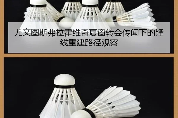 尤文图斯弗拉霍维奇夏窗转会传闻下的锋线重建路径观察