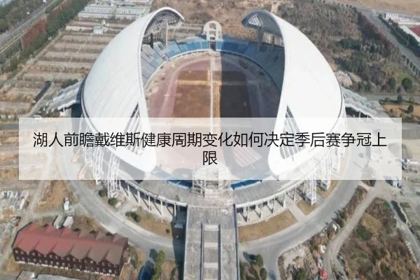 湖人前瞻戴维斯健康周期变化如何决定季后赛争冠上限