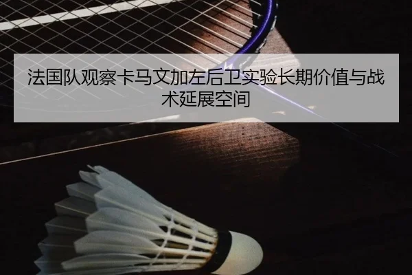 法国队观察卡马文加左后卫实验长期价值与战术延展空间